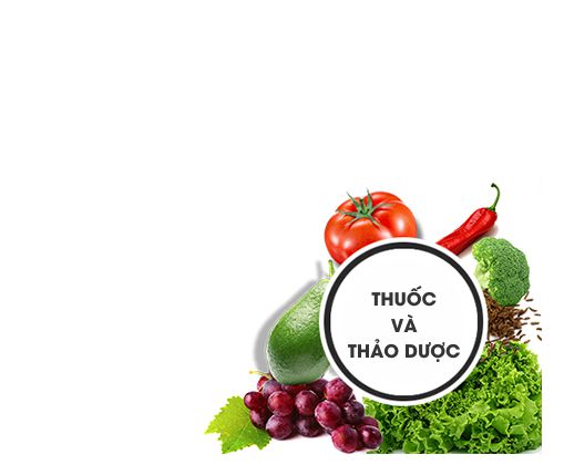 1. THẢO DƯỢC CHĂM SÓC SỨC KHỎE